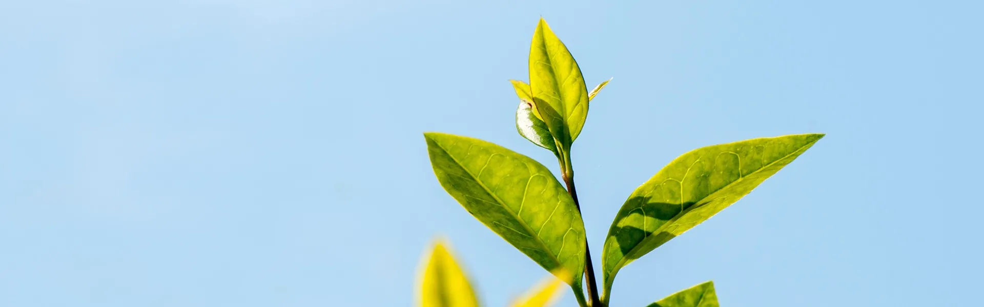 贈与税はどのようなときにかかりますか?